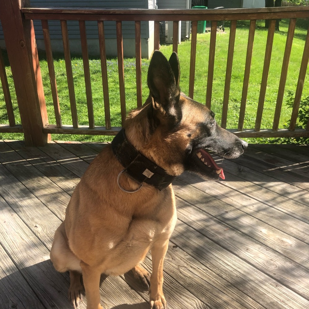 Meet your Posher, Kamal